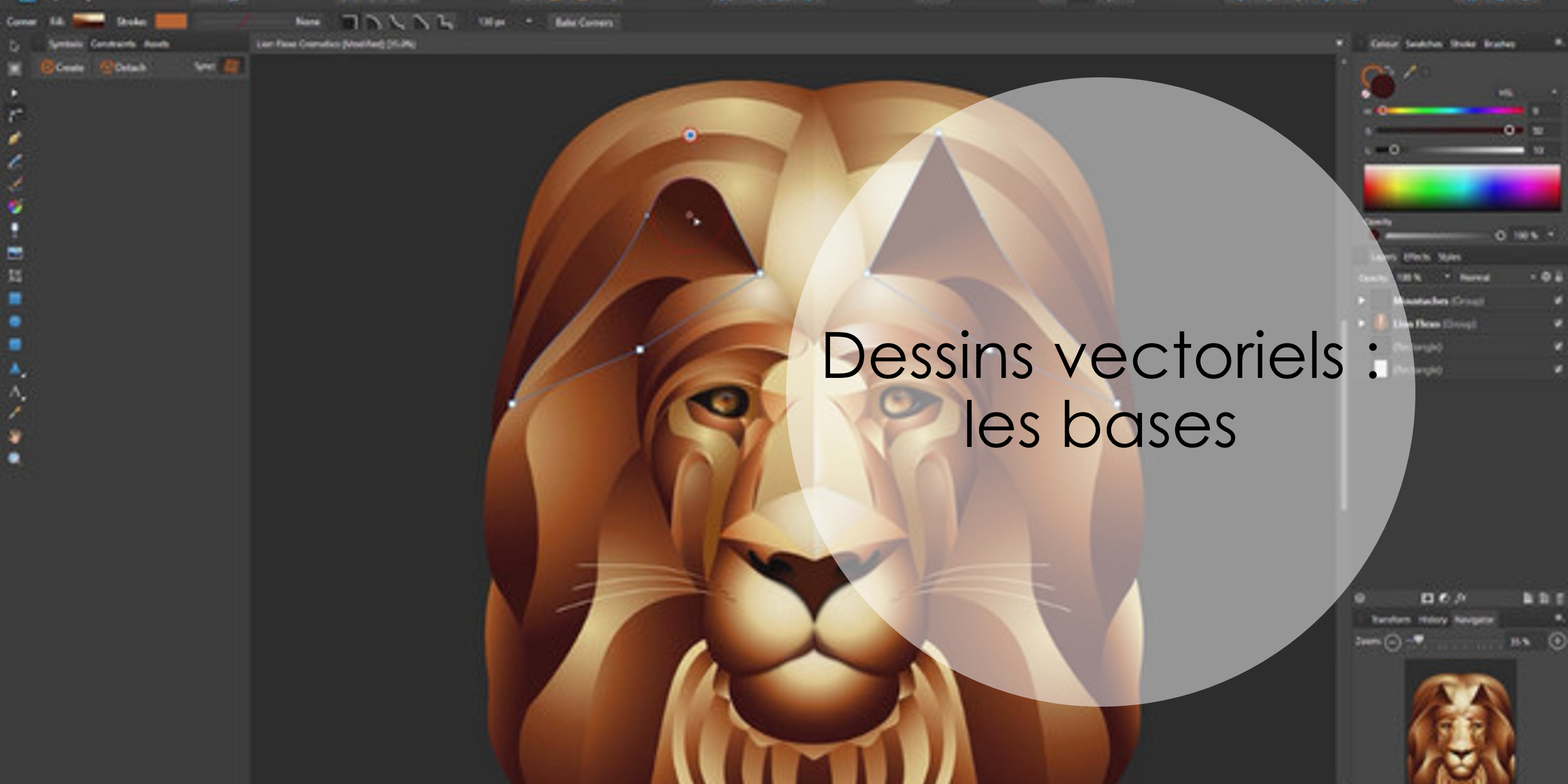 Image mise en avant